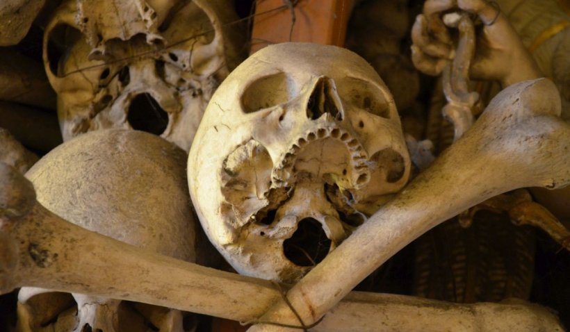 Fiul unei românce din Italia, obligat să stea ani de zile printre schelete și cranii. Ce a pățit tatăl abuziv - craniu-1643559516.jpg