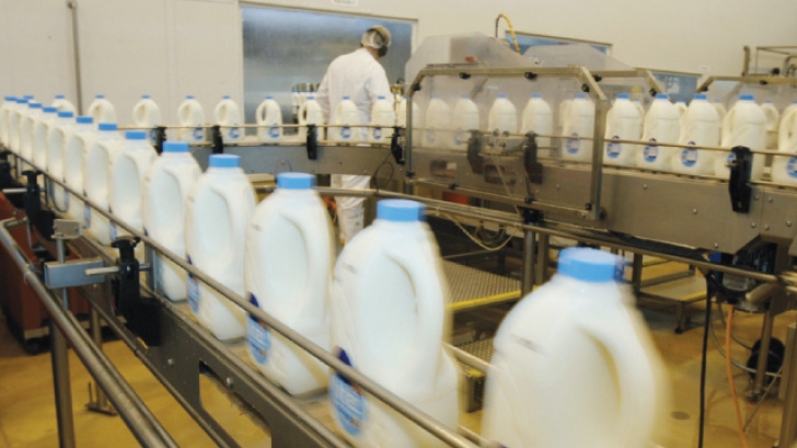 Cresc importurile de lapte, iar producția internă bate pasul pe loc - crescimporturilelapte1004-1491811391.jpg