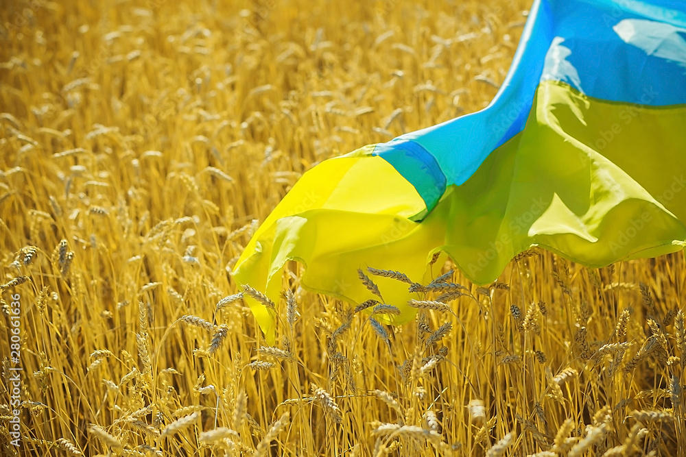 Culoare de solidaritate pentru a ajuta Ucraina să exporte produse agricole - culoaredesolidaritatepentruaajut-1652451642.jpg