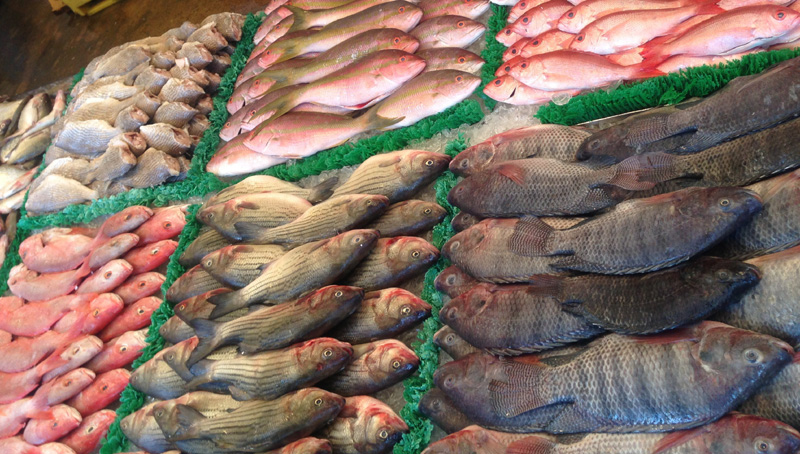 Carnea de pui, vită și peștele - cum să le alegi - cumalegicarneapotrivita-1379442373.jpg