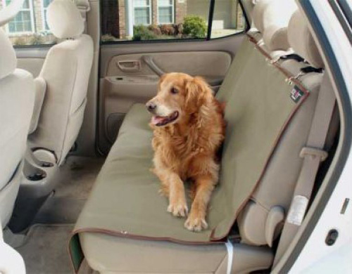 Cum se previne  frica de mașină la câini - cumseprevinefrica-1394371238.jpg