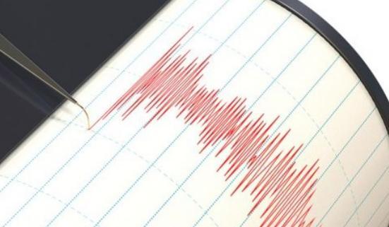 Cutremur în Vrancea. Vezi ce magnitudine a avut - cutremur-1420444642.jpg