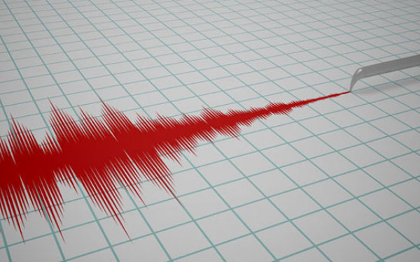 Cutremur în Vrancea în această dimineață. Află ce magnitudine a avut - cutremur-1458978664.jpg