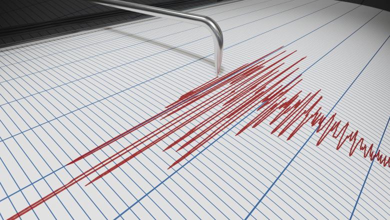 Un cutremur cu magnitudinea de 3,2 pe scara Richter s-a produs în Buzău - cutremur-1590132579.jpg