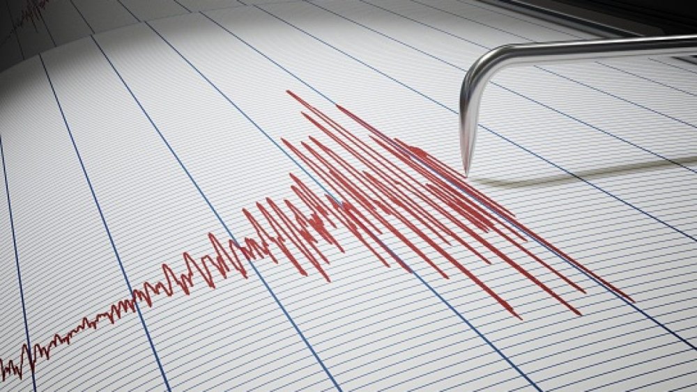 Cutremur cu magnitudinea 3,7 în judeţul Vrancea - cutremur-1611991414.jpg