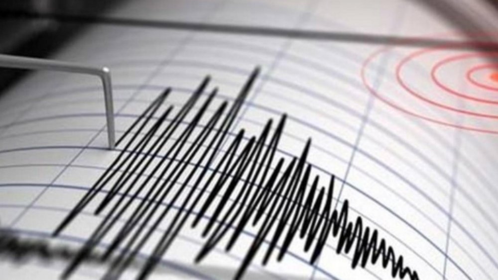 Cutremur în Vrancea. Ce magnitudine a avut seismul înregistrat sâmbătă - cutremur-1642954898.jpg