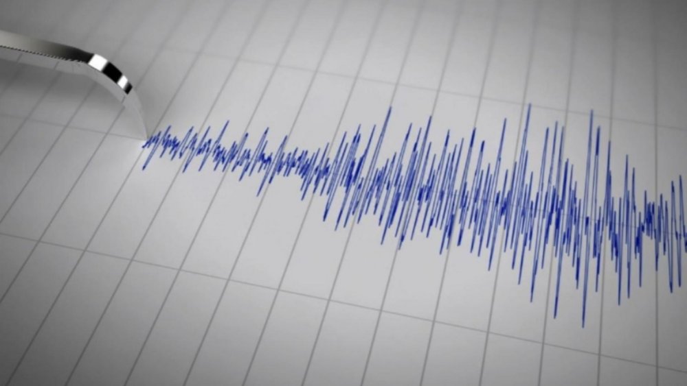 Cutremur în Vrancea. Ce magnitudine a avut - cutremur-1644592826.jpg