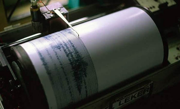 Cutremur în Vrancea. Vezi ce magnitudine a avut - cutremur4-1360311626.jpg
