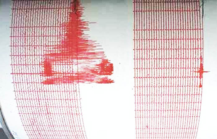 Un nou cutremur în Vrancea. Vezi ce magnitudine a avut - cutremur5-1383578736.jpg