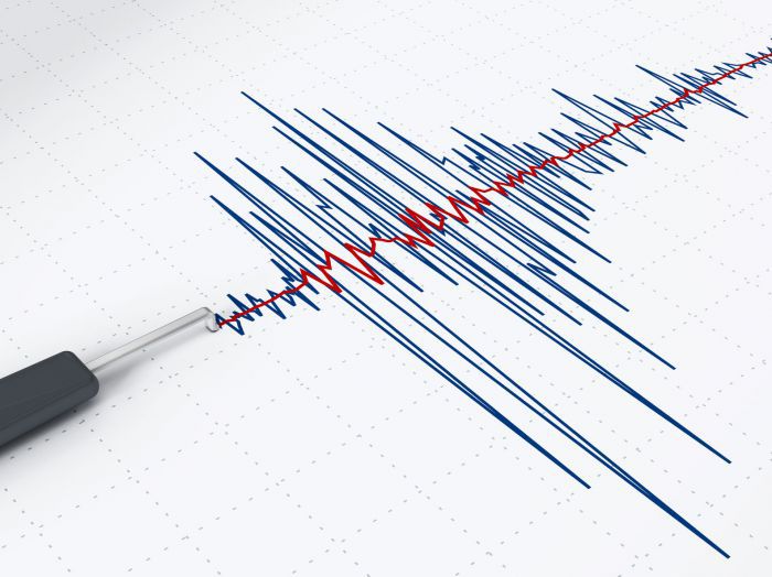 Cutremur cu magnitudinea de 3,9 în Buzău. Este al 19-lea seism din luna iunie - cutremur62409-1592727431.jpg