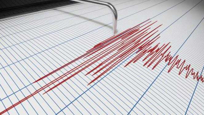 Cutremur în Vrancea cu magnitudine 4.6. Cel mai mare cutremur din România în 2019 - cutremurcumagnitudinede56-1547034796.jpg
