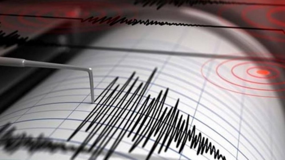 Un nou cutremur în Vrancea. Ce magnitudine a avut - cutremurprahova-1640845039.jpg