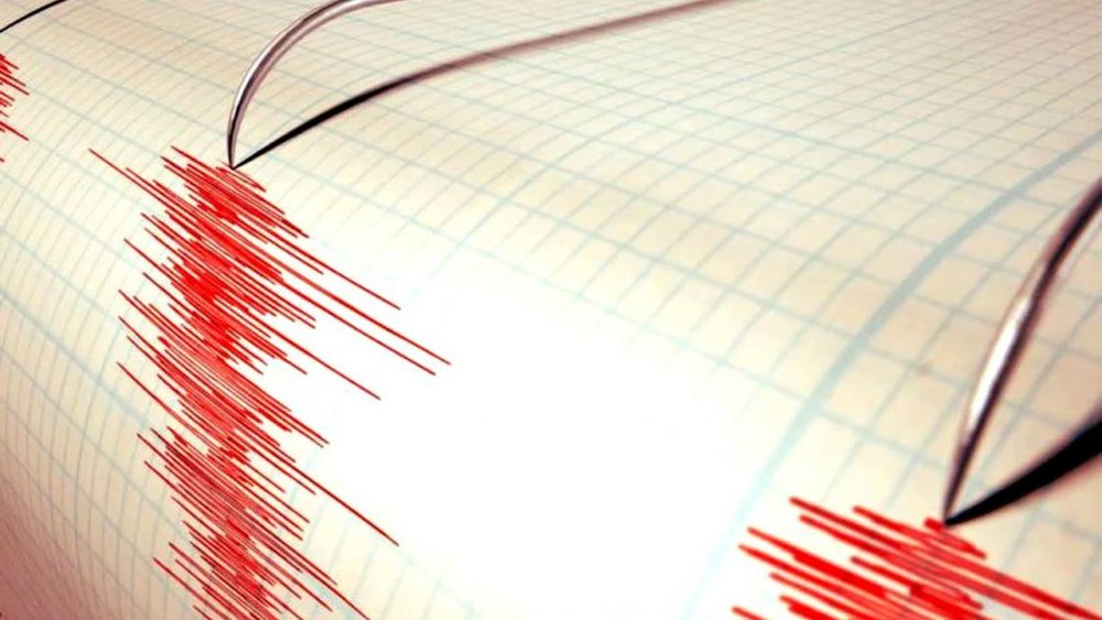 Un cutremur cu magnitudinea 4,2 a avut loc în zona seismică Vrancea - cutremurromania-1614516689.jpg