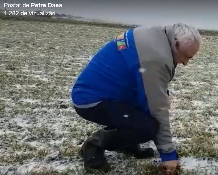 VIDEO / Petre Daea pe câmp, în plin viscol! 