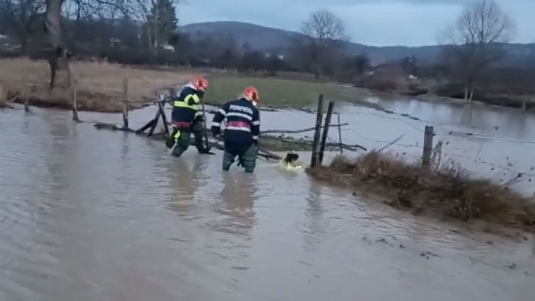 Râul Dâmbovița a ieșit din matcă și a inundat mai multe gospodării și terenuri, în urma ploilor abundente - dambovita-1639331831.jpg
