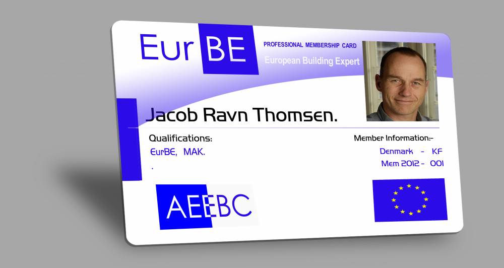 BINE DE ȘTIUT! Cine poate primi cardul profesional european - danisheurbecard-1427825688.jpg