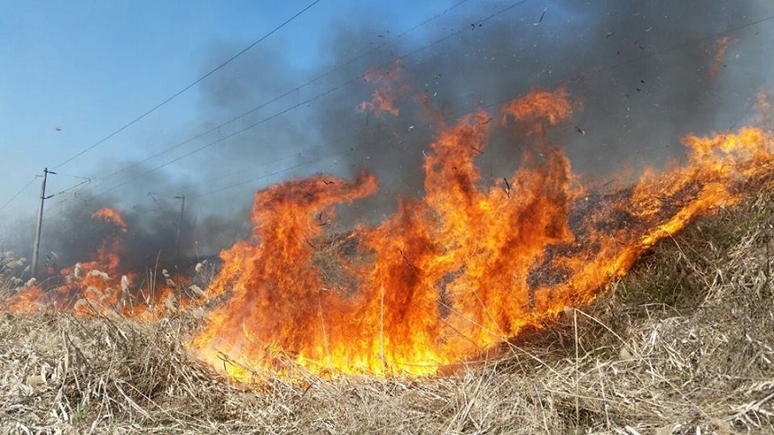 Peste 600 de hectare de vegetație uscată au ars în 5 incendii - dd-1586342383.jpg