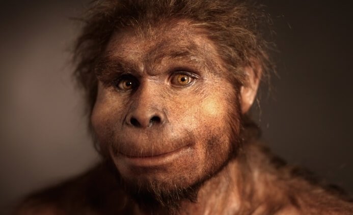 CONCLUZIA ANTROPOLOGILOR: Homo erectus a dispărut acum 110.000 de ani - ddd-1576765763.jpg