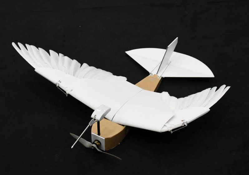 Drona-porumbel cu pene reale, noua invenție a cercetătorilor din California - ddd-1579254536.jpg