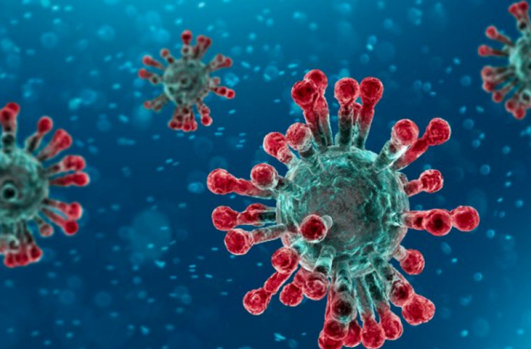 Alerte de infecție cu noul coronavirus, infirmate! INCLUSIV LA CONSTANȚA! - ddd-1580059195.jpg