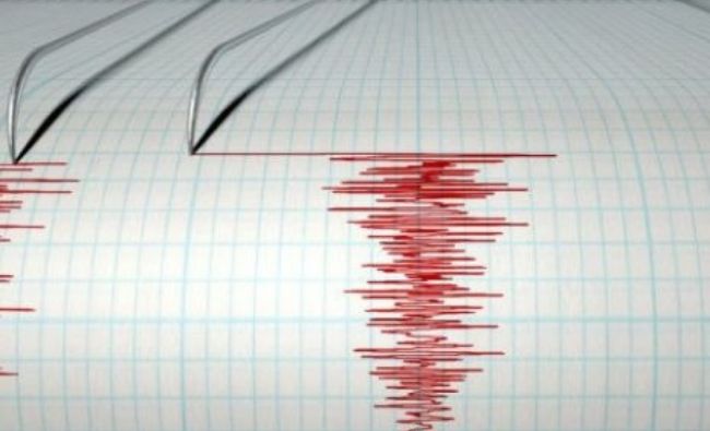CUTREMUR de magnitudine 4,5 în zona seismică Vrancea - ddd-1583961322.jpg