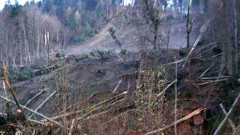 Familia Regală, solidară cu persoanele afectate de alunecarea de teren din Azuga - ddd-1586610186.jpg