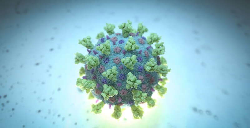 Două tipuri de coronavirus care pot genera infecții, descoperite de cercetători - dddd-1583319361.jpg