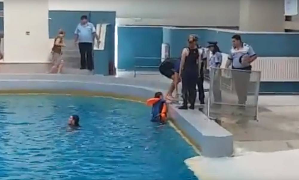 VIDEO / SCANDAL LA DELFINARIUL CONSTANȚA! Trei persoane s-au aruncat în bazinul delfinilor - delfin-1503762812.jpg
