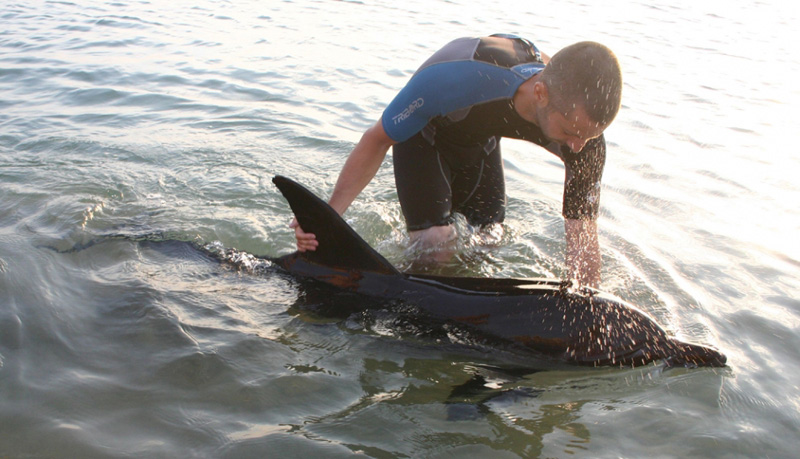 Pachete turistice cu ieșiri pe mare și întâlniri cu pescarii pentru protejarea delfinilor - delfinisioameni-1377021024.jpg