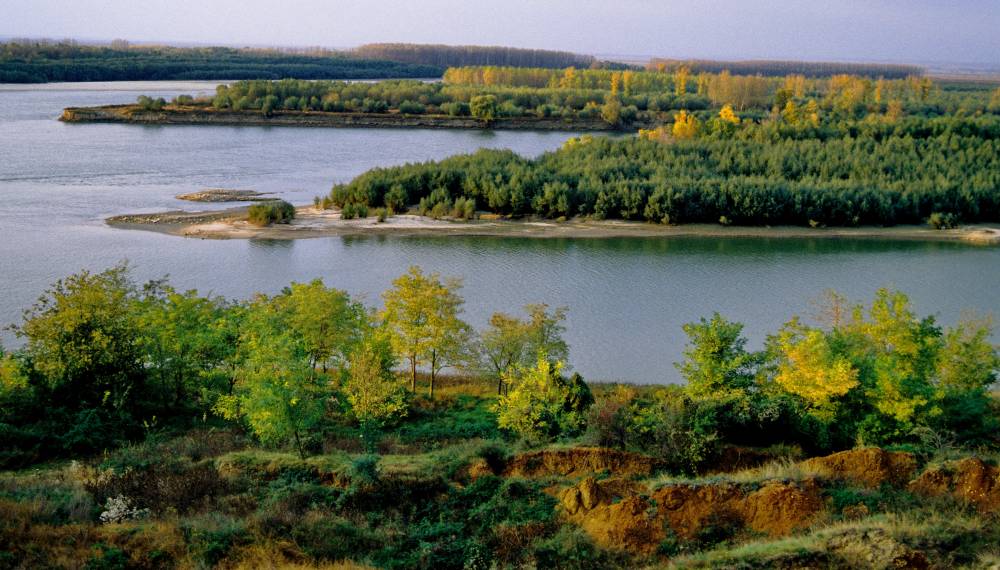 A fost vizat Planul de management al fluviului Dunărea, Deltei Dunării, spațiului hidrografic Dobrogea și apele costiere a fost vizat - delta-1448548190.jpg