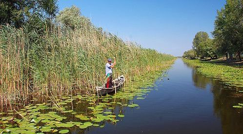 Creștere spectaculoasă a numărului permiselor de pescuit sportiv în Deltă - delta-1586846838.jpg