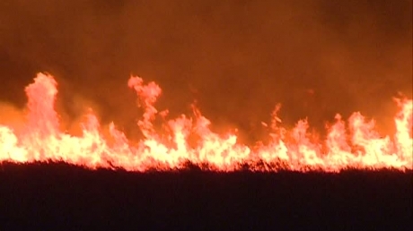 VIDEO / Incendiu devastator în Rezervația Deltei Dunării - deltaincendiu76465500-1313910741.jpg