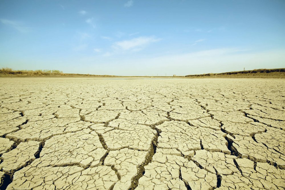 Deşertificarea este o realitate. Ministrul Agriculturii vrea soluţii pentru colectarea resurselor de apă - desertificareaesteorealitate-1613115344.jpg