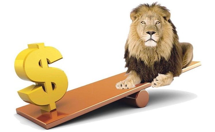 Dolarul s-a depreciat cu 2,64 bani în bătălia cu leul - devalorizareleudolar-1578314154.jpg