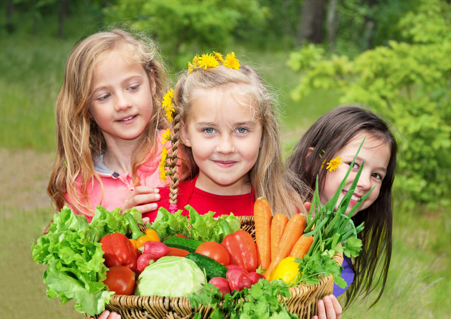 Cât de indicate sunt dietele vegetariene la copii - dieta-1712838800.jpg