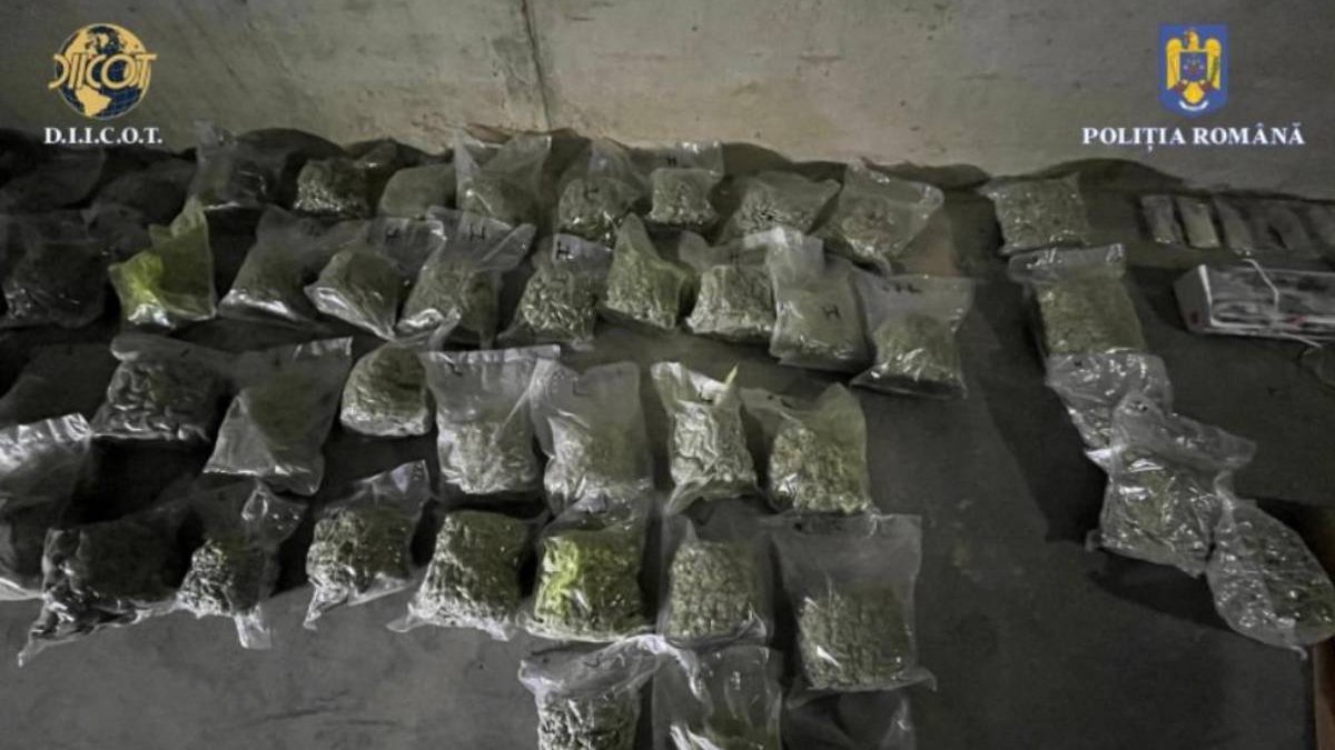 DIICOT a soluţionat anul trecut peste 8.000 de dosare de trafic de droguri - diicot-dosare-droguri-1709056924.jpg