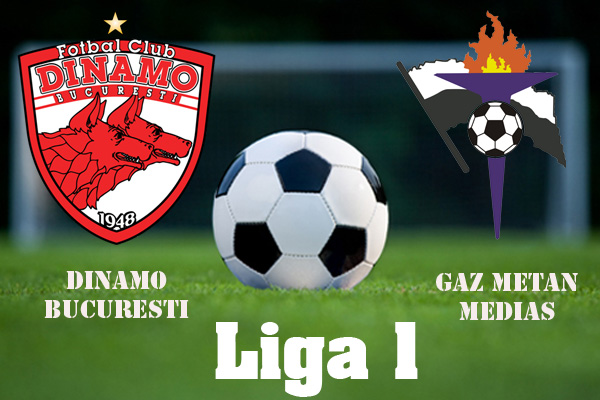 FOTBAL - LIGA 1. Dinamo a învins Gaz Metan la Mediaș - dinamogazmetan-1416642173.jpg