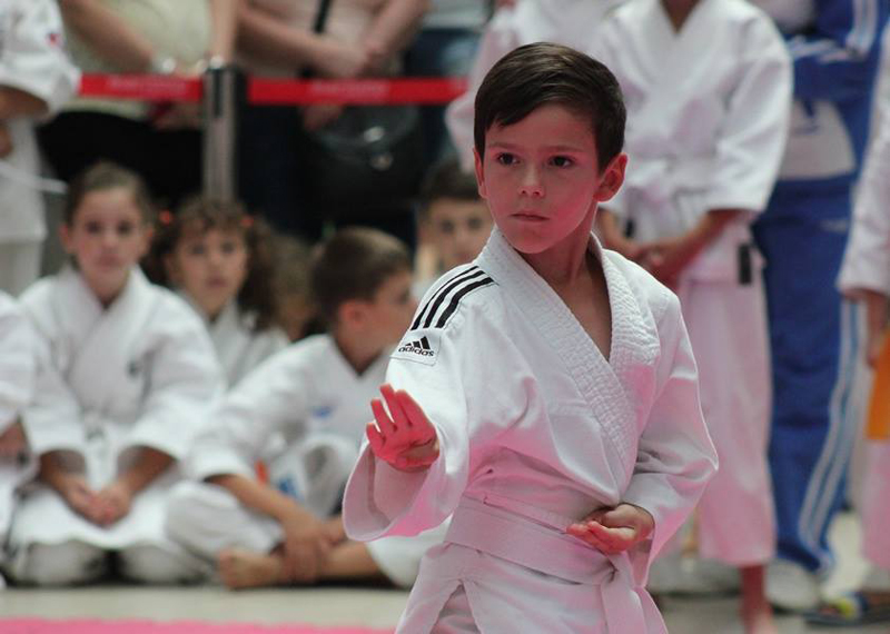 Dobrogea Karate Cup, în week-end, la Maritimo - dobrogea-1467386852.jpg