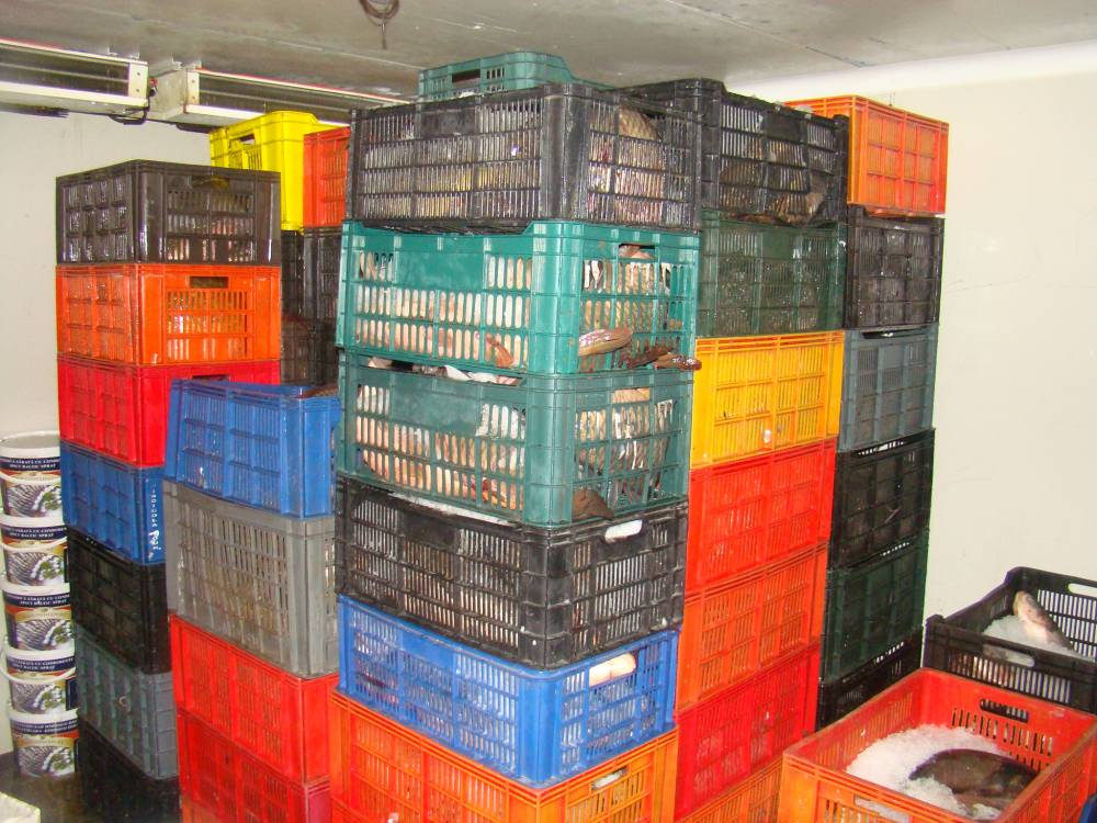 Dosar penal pentru un bărbat care transporta ilegal două tone de pește - dosarpenalpeste-1430133577.jpg
