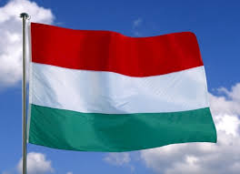 Ungaria a legalizat arestul preventiv pe termen nelimitat - download2-1384273506.jpg