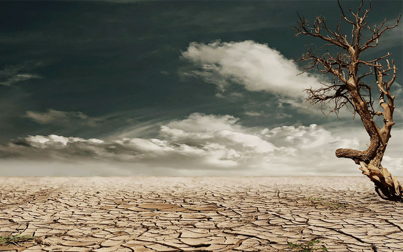 Omenirea se aşteaptă la o criză alimentară în 10 sau 15 ani. Cum se va descurca România - drought-1617955133.jpg