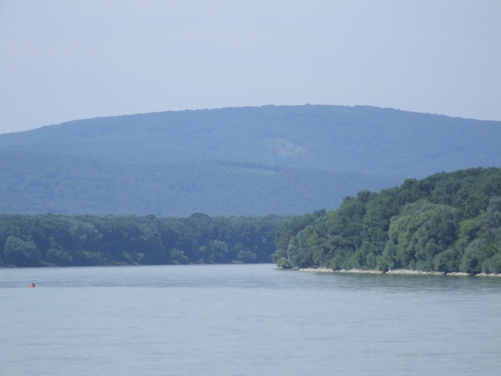 Dunărea, aproape de un nivel-record în Serbia - dunare-1371134308.jpg