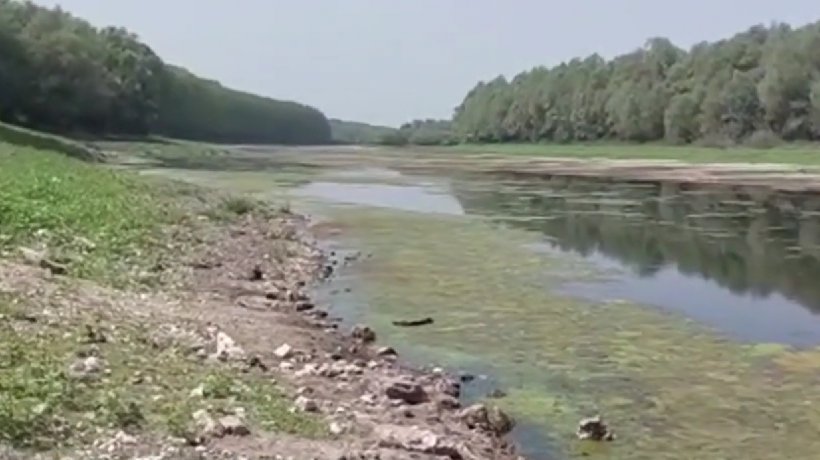 Dunărea secată poate fi traversată pe jos la Oltina, în Constanţa - dunare-1661681729.webp