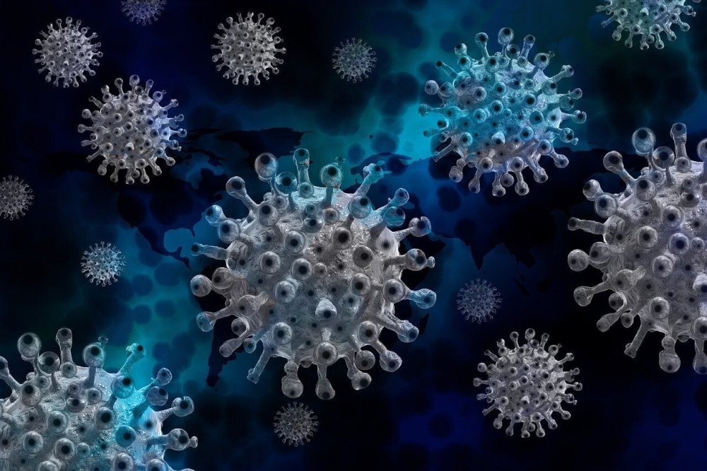 Coronavirus în România / Numărul de cazuri noi de COVID-19 continuă să crească - eb2080c8e0b647038ebc50d8c8d35bec-1640773275.jpg