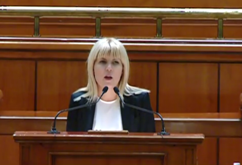 Deputații au aprobat cererea de urmărire penală în cazul Elenei Udrea - elena-1424707098.jpg