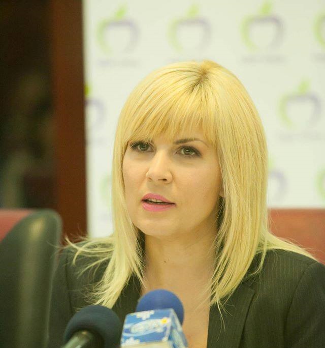 Soarta Elenei Udrea, decisă luni în Camera Deputaților - elenaudrea781423141722-1423141778.jpg