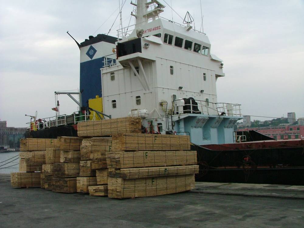 Exportul de bușteni, cherestea și lemn de foc se suspendă! - exportul-1431848809.jpg