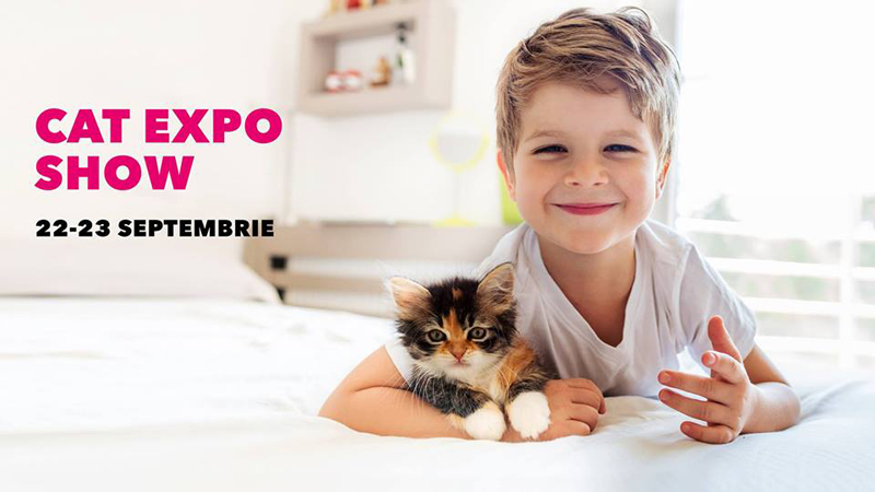 Expoziție  de pisicuțe,  în week-end, la VIVO! Constanța - expozitiepisicivivo-1537540891.jpg