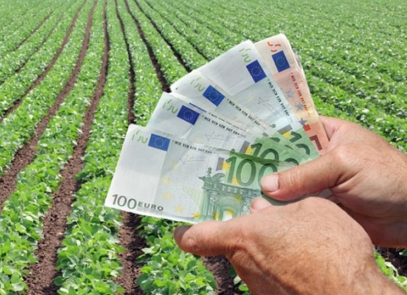 Fermierii au primit peste 1,56 miliarde de euro - fermierii-1464972864.jpg
