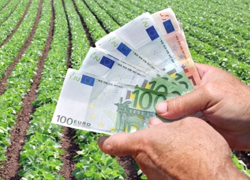 Fermierii primesc un ajutor de 1,8 miliarde euro - fermierii-1506616964.jpg